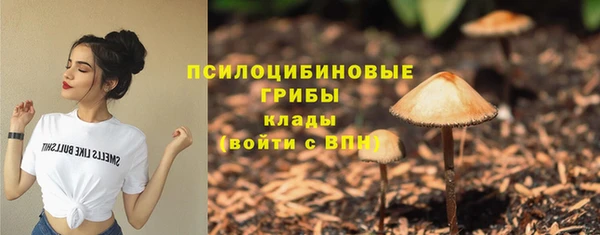 MESCALINE Аркадак