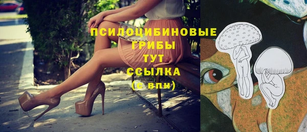дживик Зеленодольск
