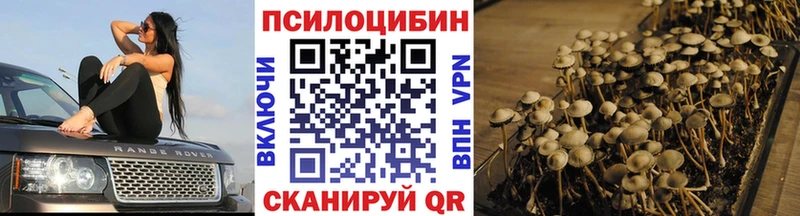где продают наркотики  Оленегорск  Псилоцибиновые грибы Psilocybine cubensis 