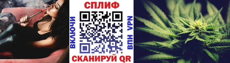 Бошки марихуана ГИДРОПОН  купить наркотик  Оленегорск 
